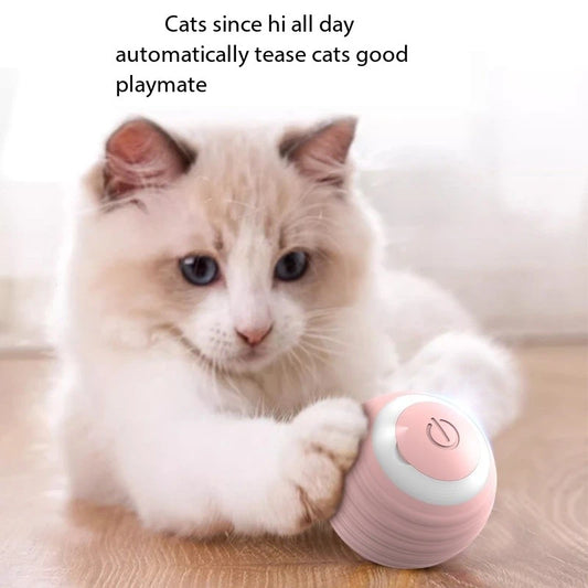 Cat Magic Rolling Ball Toy