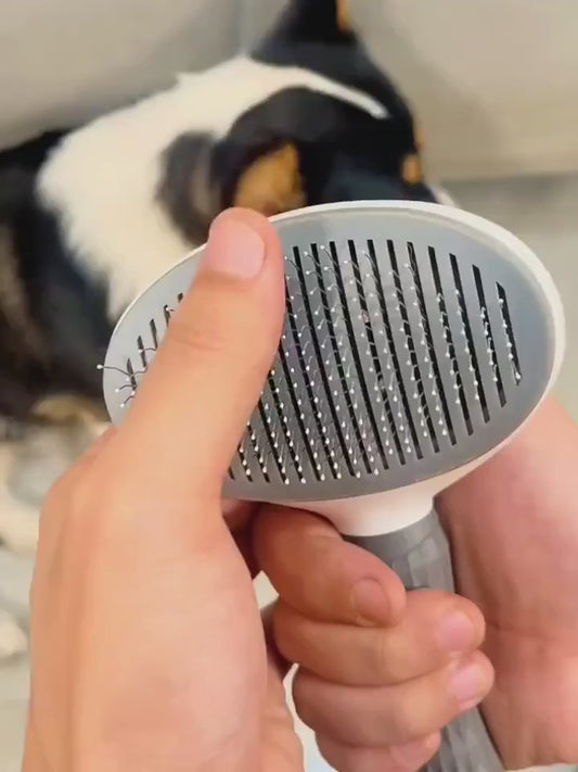 PetPal Self-Cleaning Grooming Brush